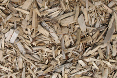biomass boilers Venn